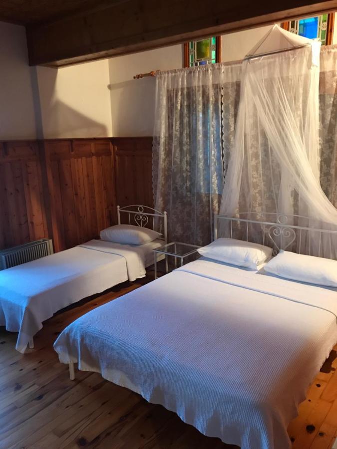 9Mouses Chasiotis Guest House Ampelakia Экстерьер фото