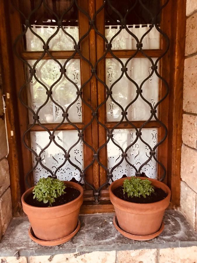 9Mouses Chasiotis Guest House Ampelakia Экстерьер фото