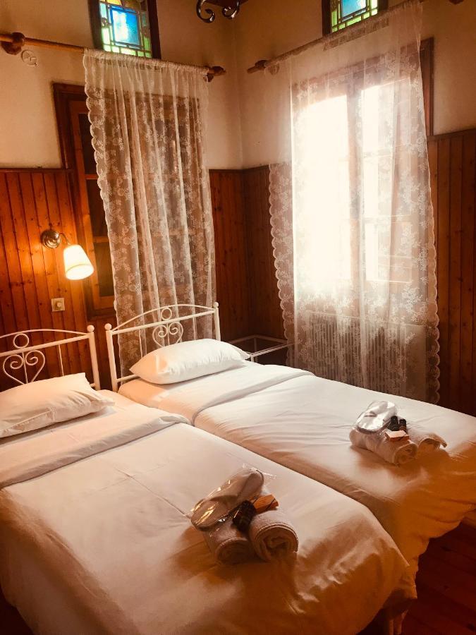 9Mouses Chasiotis Guest House Ampelakia Экстерьер фото