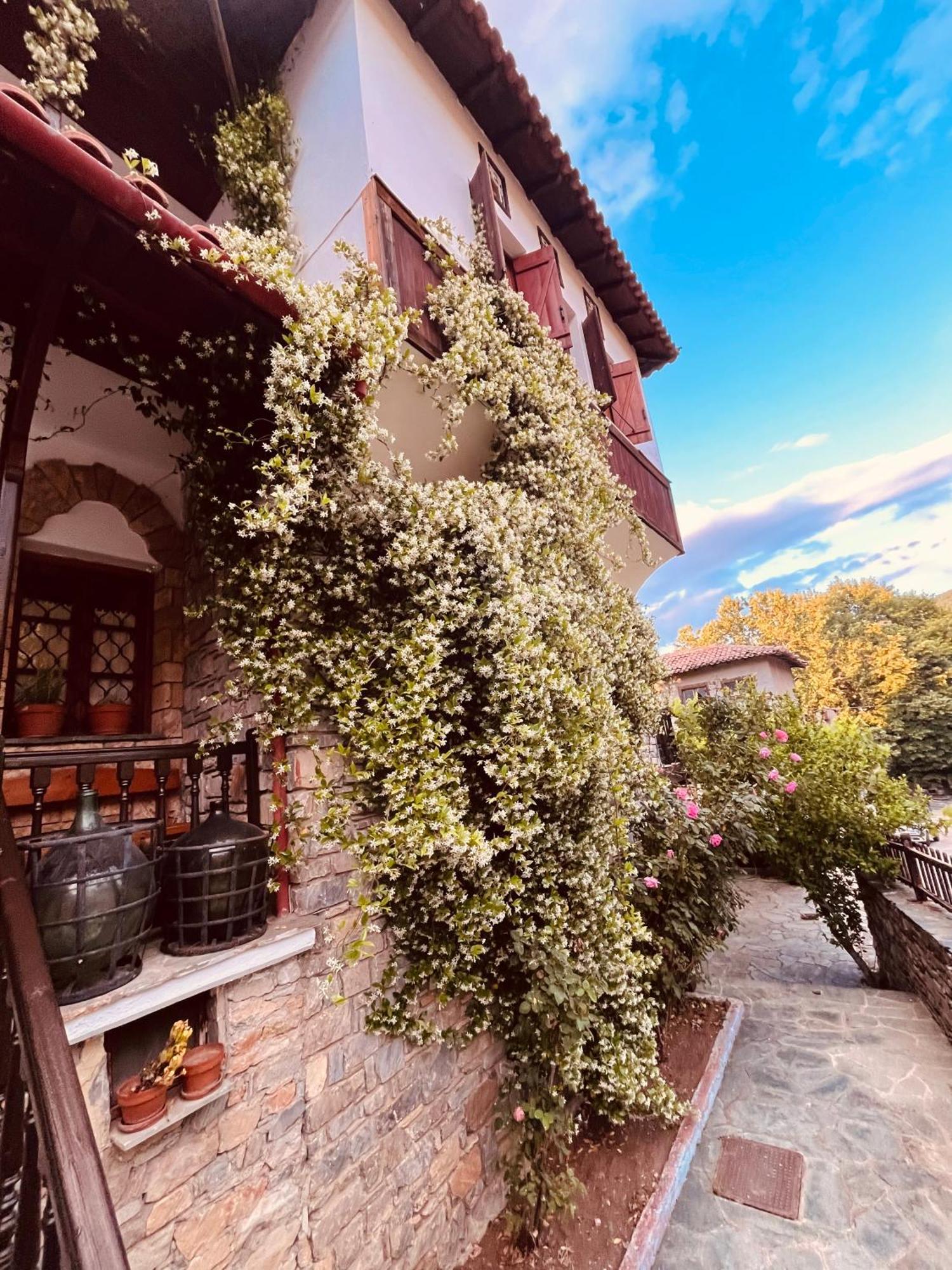 9Mouses Chasiotis Guest House Ampelakia Экстерьер фото